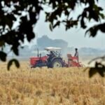 Kaip atsiranda kaina: kelias nuo ūkininko iki parduotuvės lentynos