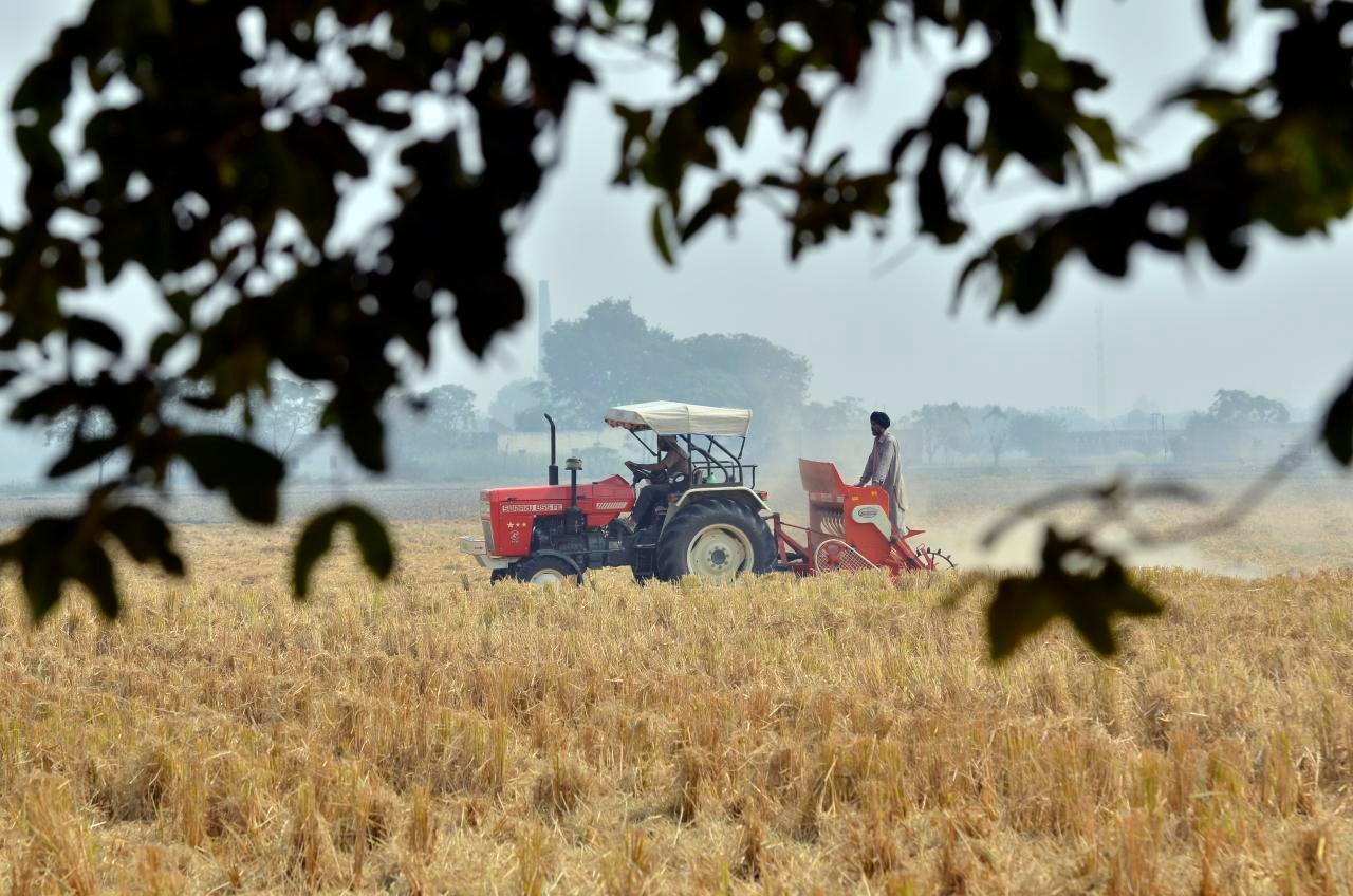 Kaip atsiranda kaina: kelias nuo ūkininko iki parduotuvės lentynos